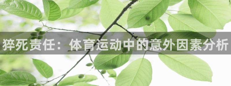 谈球吧体育