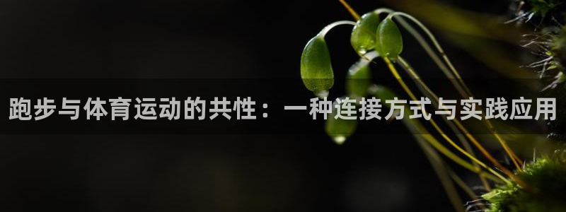 谈球吧