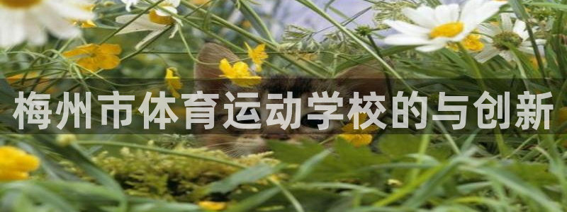谈球吧体育官网