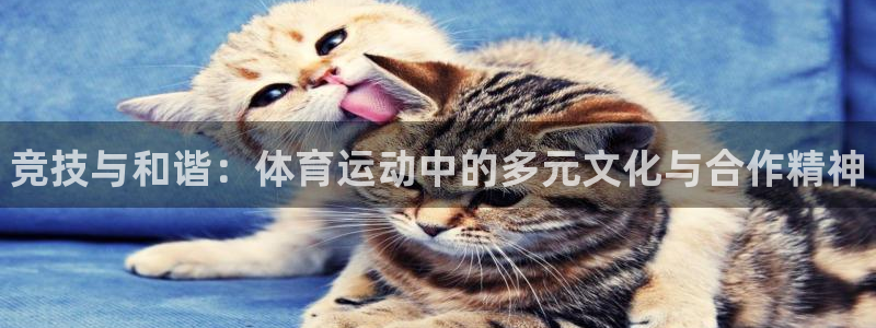 谈球吧