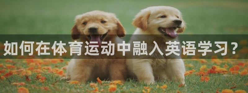 谈球吧体育官网