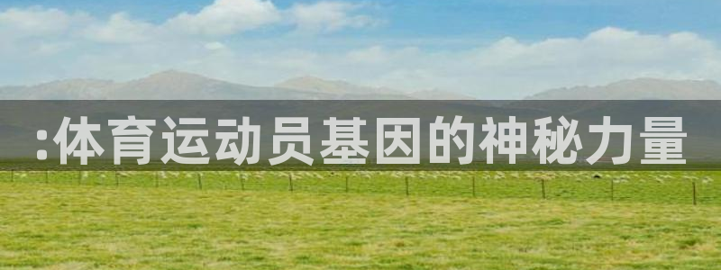 谈球吧体育