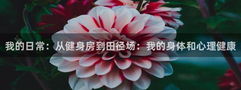 谈球吧体育