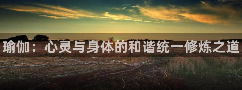 谈球吧