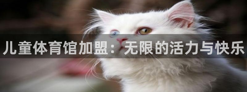 谈球吧
