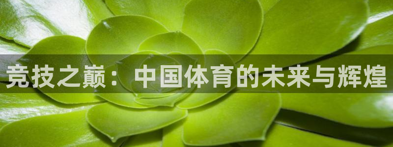 谈球吧体育官网