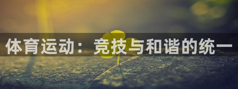 谈球吧