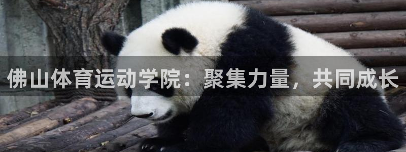 谈球吧体育