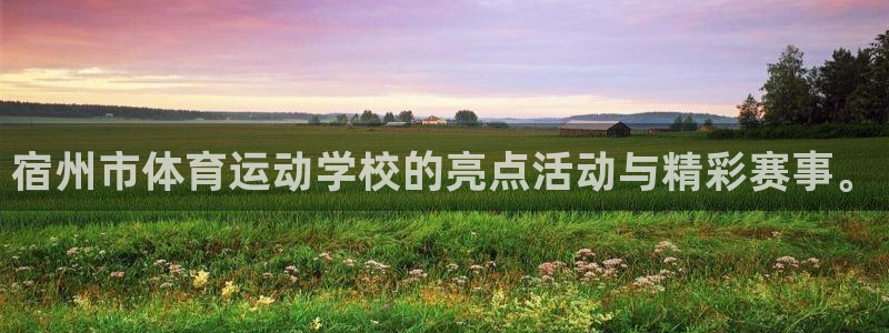 谈球吧