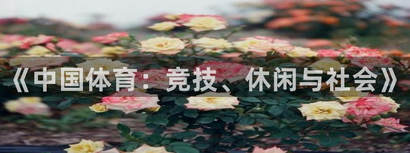 谈球吧