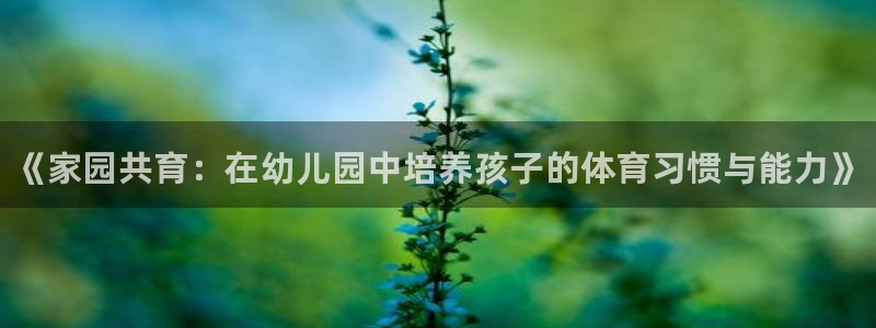 谈球吧