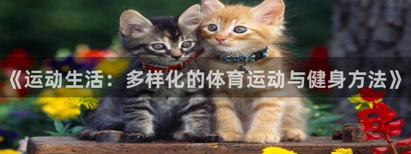 谈球吧
