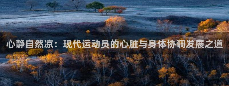 谈球吧体育官网