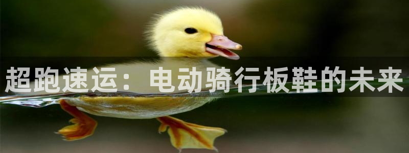 谈球吧