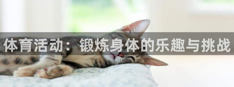 谈球吧体育