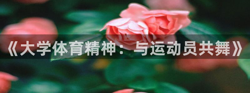 谈球吧体育官网