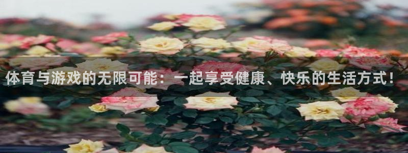 谈球吧体育