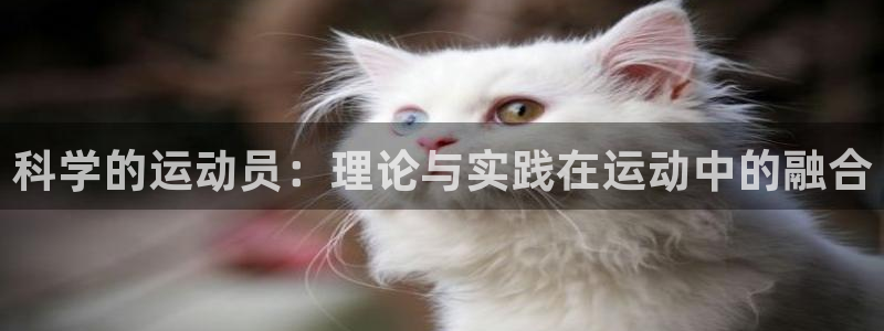 谈球吧体育