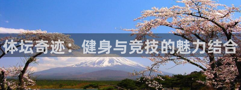 谈球吧体育