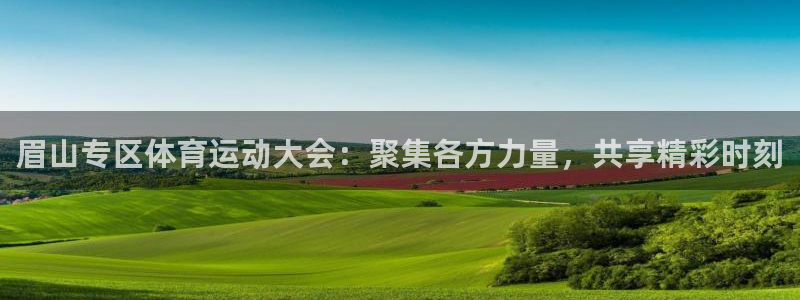 谈球吧体育官网