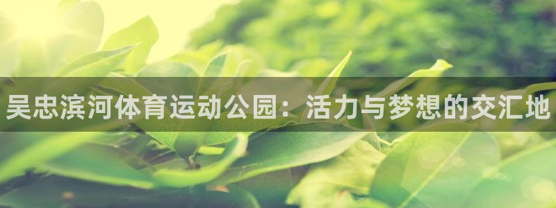 谈球吧体育官网