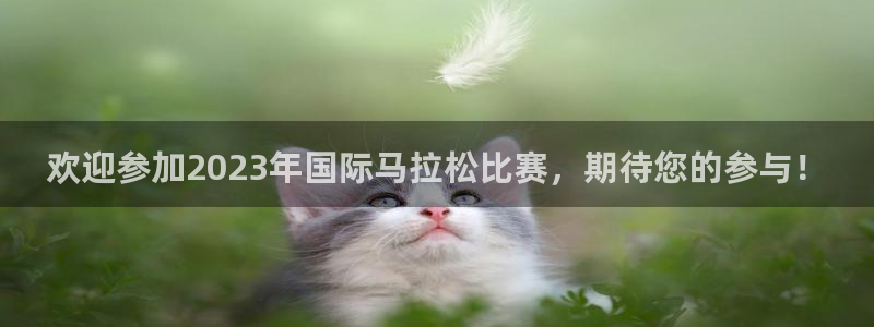 谈球吧