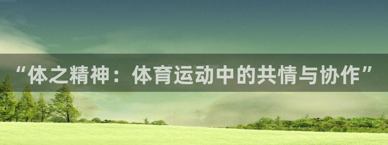 谈球吧