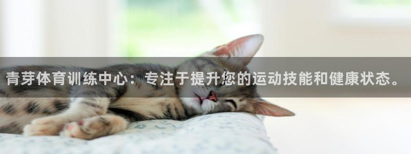 谈球吧体育